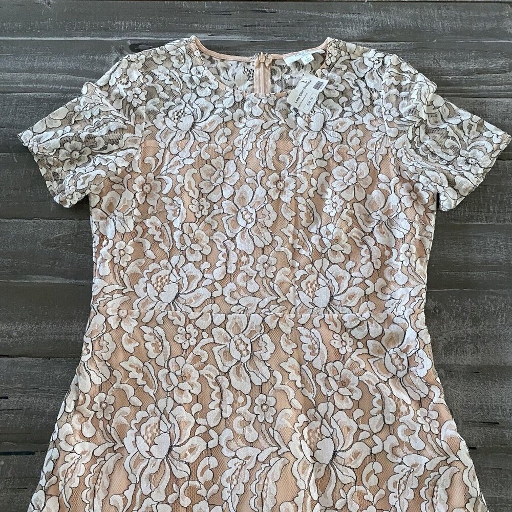 Peach Love California Dress Size Large Floral Lace Short Sleeve Lined Ladies New - Picture 2 of 10